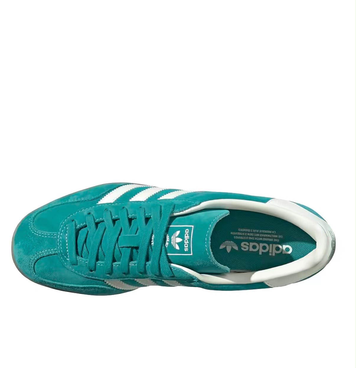 Gazelle "Turquoise Limited Edition"